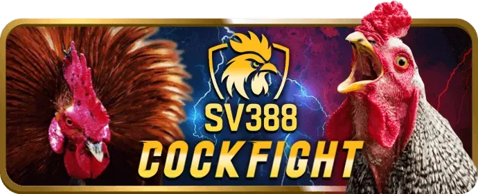 Khuyến mãi chào mừng vbet casino