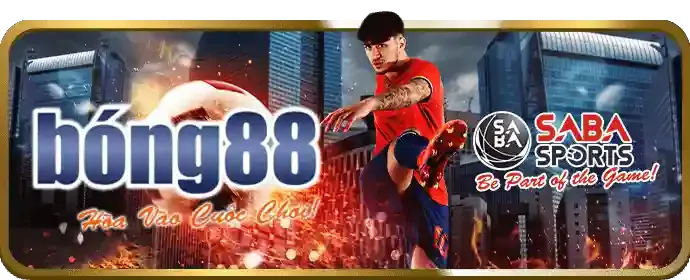Chương trình VIP vbet casino